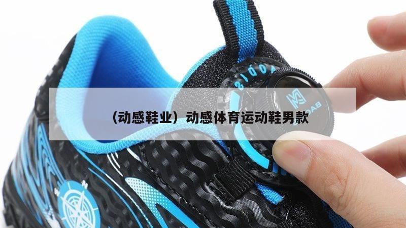 上海（动感鞋业）动感体育运动鞋男款